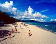 穿了本远古兽人文